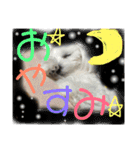 みるく＆もも（個別スタンプ：23）