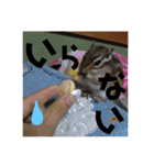 みるく＆もも（個別スタンプ：27）