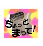 みるく＆もも（個別スタンプ：31）