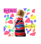 柴犬まよ（個別スタンプ：35）