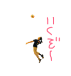 櫻丸 2018 vol.1（個別スタンプ：19）
