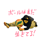 櫻丸 2018 vol.1（個別スタンプ：23）
