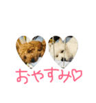 モカ＆サラ（個別スタンプ：2）