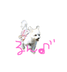 モカ＆サラ（個別スタンプ：7）