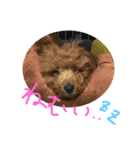 モカ＆サラ（個別スタンプ：12）