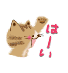 毎日デカ文字♡癒しの猫さんスタンプ（個別スタンプ：19）