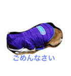 くぅさま（個別スタンプ：2）