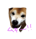 くぅさま（個別スタンプ：4）