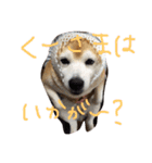 くぅさま（個別スタンプ：8）