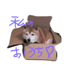 くぅさま（個別スタンプ：12）
