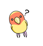 コザクラインコ ルチノー（個別スタンプ：1）