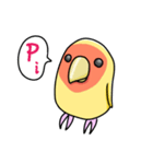 コザクラインコ ルチノー（個別スタンプ：5）