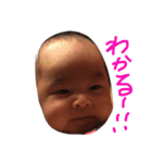 とことこの可愛い日常！（個別スタンプ：2）