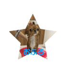 愛犬くぅちゃん（個別スタンプ：18）