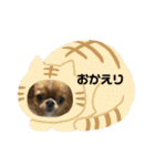 愛犬くぅちゃん（個別スタンプ：29）