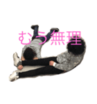 はーとらんどすたんぷ（個別スタンプ：8）