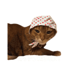ちゃまどぅスタンプ（個別スタンプ：19）