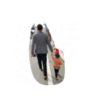 とら兄弟あいさつ（個別スタンプ：5）