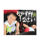 とら兄弟あいさつ（個別スタンプ：8）