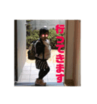 ぽにょこの日常2（個別スタンプ：7）