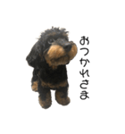 あまえんぼ犬（個別スタンプ：1）