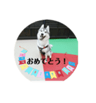 とう＆ゆせまるの生活（個別スタンプ：8）
