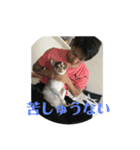 とう＆ゆせまるの生活（個別スタンプ：11）