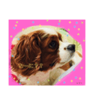 キャバリアのレフト（個別スタンプ：2）