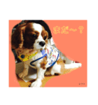 キャバリアのレフト（個別スタンプ：5）