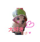 かわいいチョロくん（個別スタンプ：5）