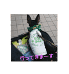 ミニピンのグウィン アプ ニーズ（個別スタンプ：16）