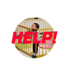 児嶋兄弟（個別スタンプ：10）