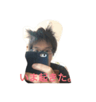 おれ。（個別スタンプ：5）