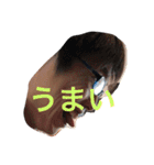 おれ。（個別スタンプ：14）