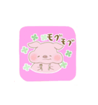 みー豚スタンプ（個別スタンプ：40）
