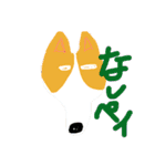 世界で1番可愛い犬（個別スタンプ：1）