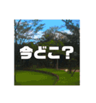 世界で1番可愛い犬（個別スタンプ：18）