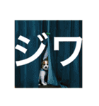 世界で1番可愛い犬（個別スタンプ：23）