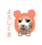 ねこのとらお①♡じんの友達シリーズ（個別スタンプ：10）