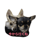 みーちゃんとさらん（個別スタンプ：6）