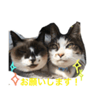 駿ホースタンプ1（個別スタンプ：16）