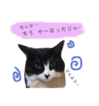 ふーこスタンプ1（個別スタンプ：5）