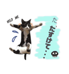 ふーこスタンプ1（個別スタンプ：7）