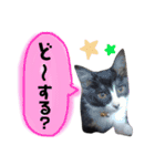 ふーこスタンプ1（個別スタンプ：8）
