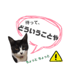 ふーこスタンプ1（個別スタンプ：10）