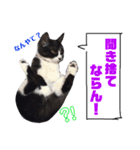 ふーこスタンプ1（個別スタンプ：11）