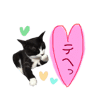 ふーこスタンプ1（個別スタンプ：12）