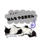 ふーこスタンプ1（個別スタンプ：13）