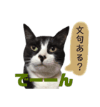 ふーこスタンプ1（個別スタンプ：14）