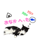 ふーこスタンプ1（個別スタンプ：15）